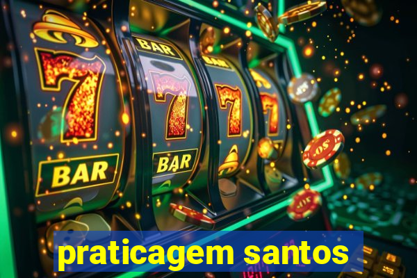 praticagem santos